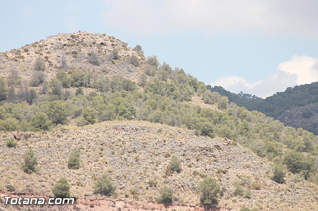 XVII Bike Maraton Btt Ciudad de Totana 2014 - 587